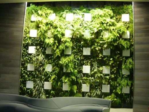 绿化植物墙