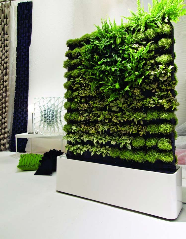 绿化植物墙